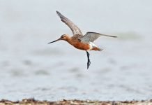 เจเฉเจกเจตเจฟเจ เจชเฉฐเจเฉ เจจเฉ เจ
เจฒเจพเจธเจเจพ เจคเฉเจ เจจเจฟเจเจเจผเฉเจฒเฉเจเจก เจคเฉฑเจ เจเฉฑเจกเจเฉ เจฌเจฃเจพเจเจ เจตเจฐเจฒเจก เจฐเจฟเจเจพเจฐเจก